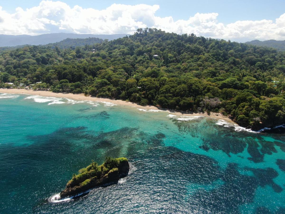 Cariblue Beach And Jungle Resort Puerto Viejo de Talamanca 외부 사진