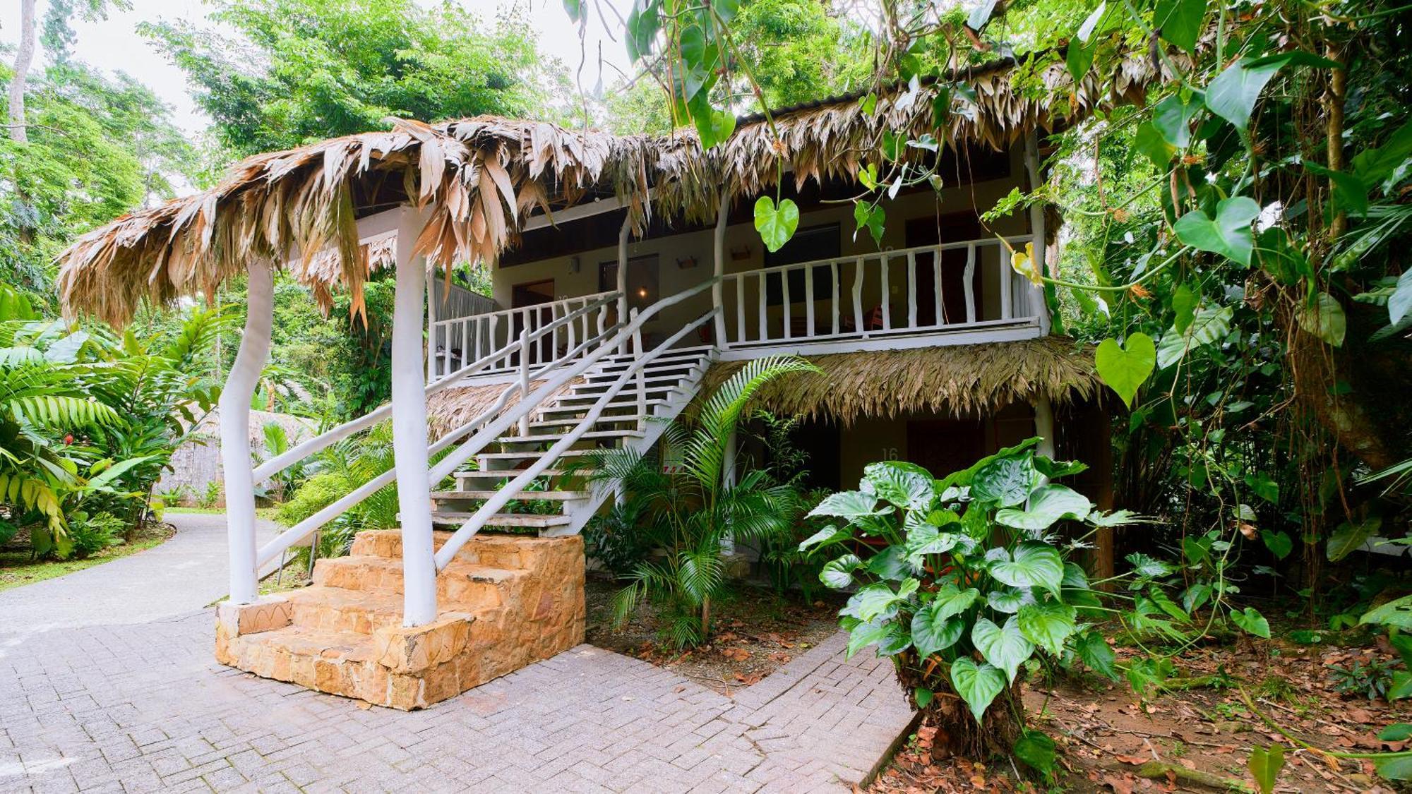 Cariblue Beach And Jungle Resort Puerto Viejo de Talamanca 객실 사진