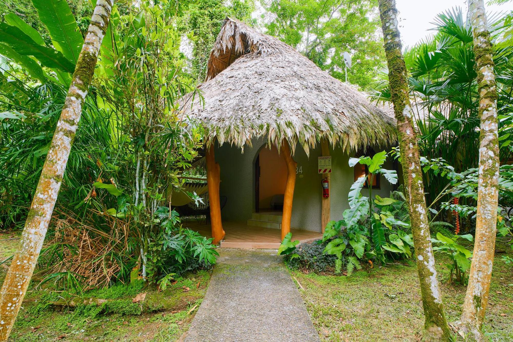Cariblue Beach And Jungle Resort Puerto Viejo de Talamanca 객실 사진
