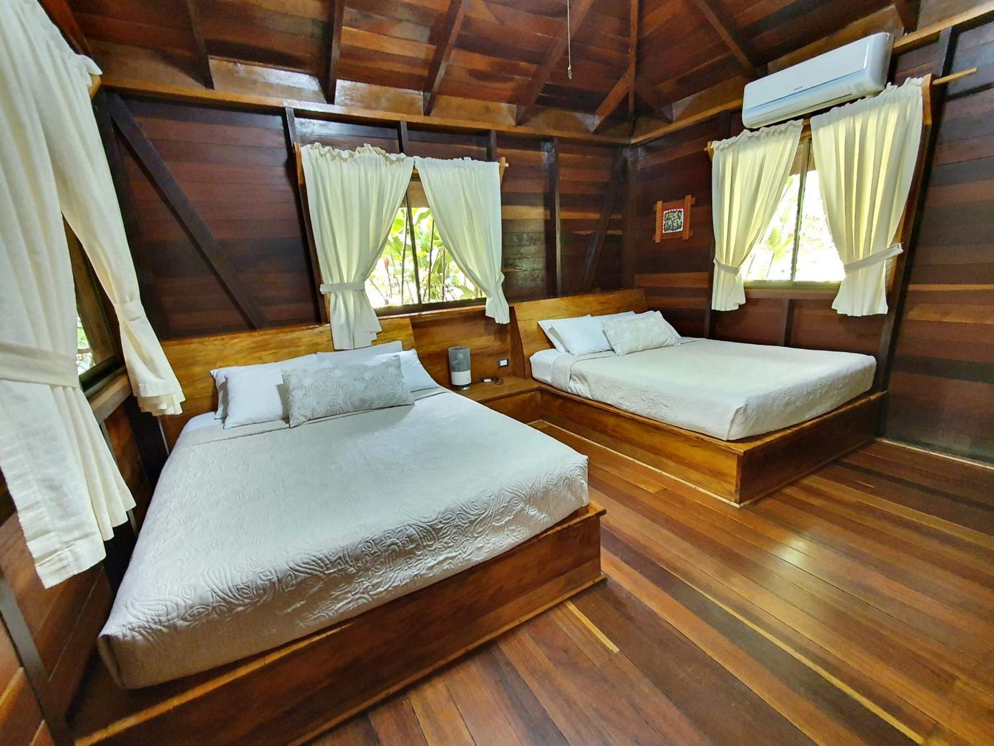 Cariblue Beach And Jungle Resort Puerto Viejo de Talamanca 객실 사진