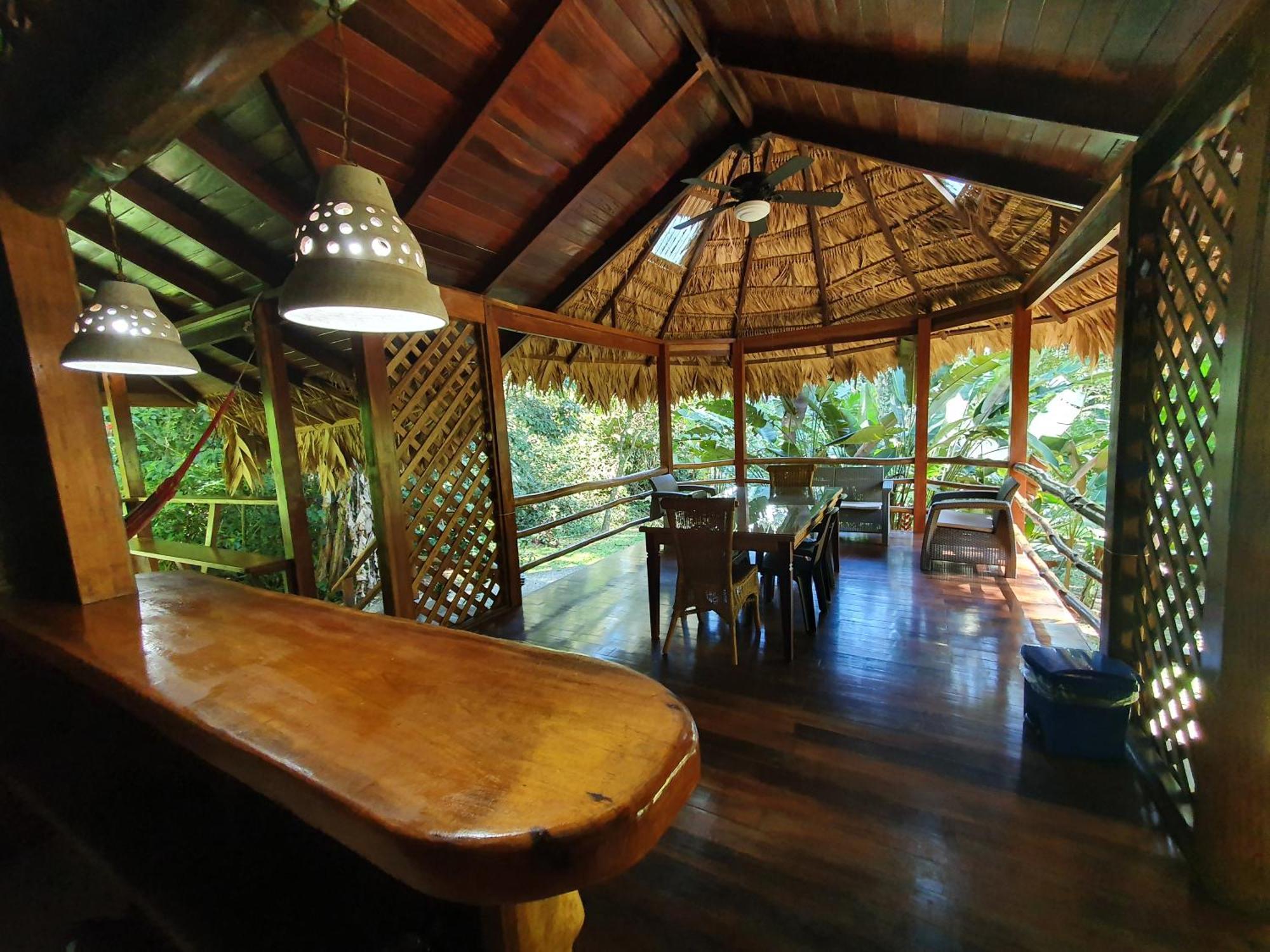 Cariblue Beach And Jungle Resort Puerto Viejo de Talamanca 객실 사진