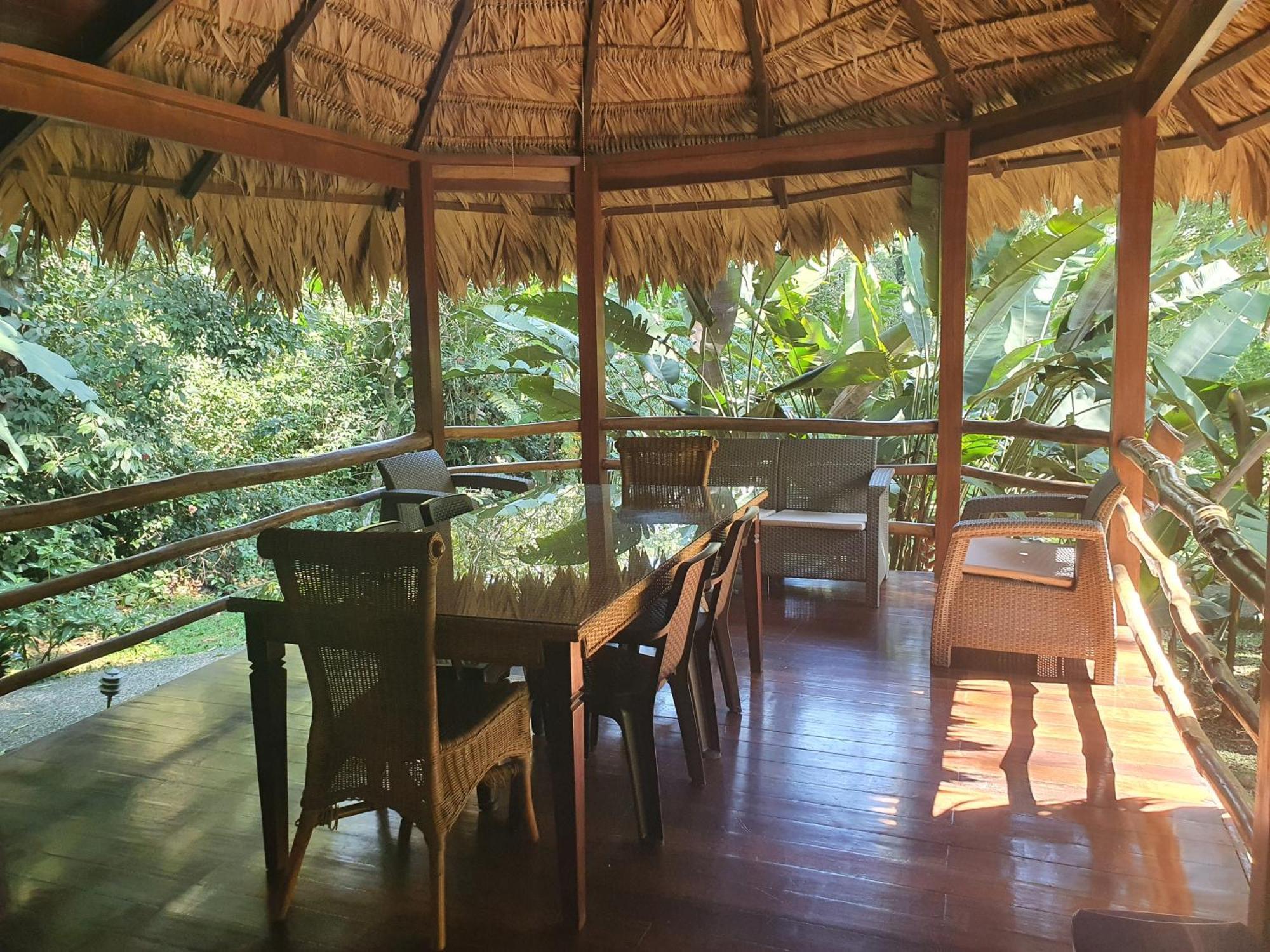 Cariblue Beach And Jungle Resort Puerto Viejo de Talamanca 객실 사진